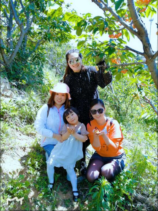 一木久道综合热线