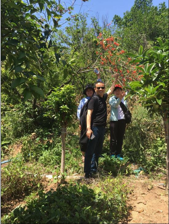 一木久道综合热线