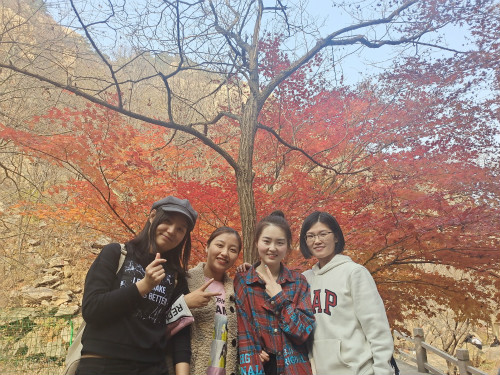 一木久道综合热线