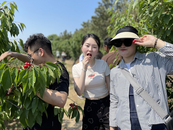 一木久道综合热线