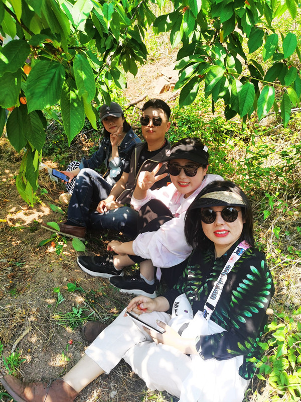 一木久道综合热线